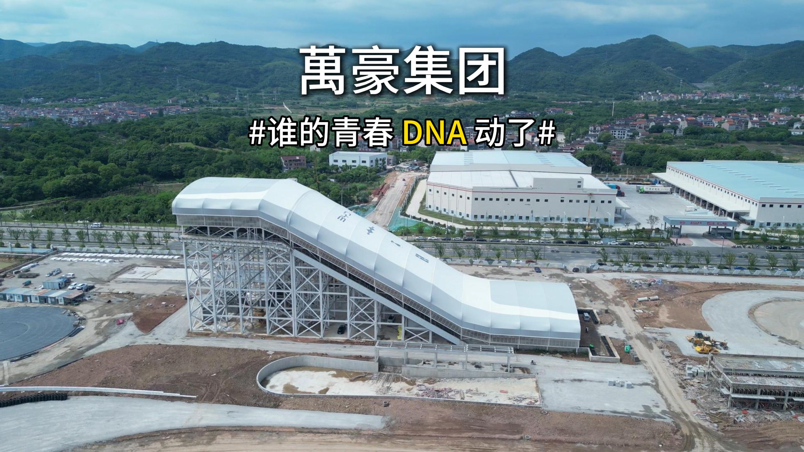 誰(shuí)的青春 DNA 動(dòng)了